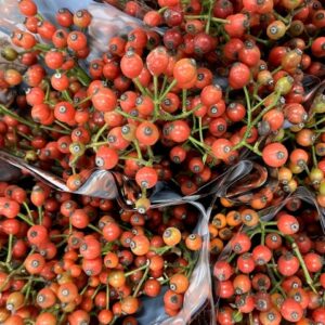 NYPON ROSEFRUITS RÖD 40 CM