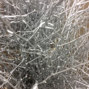 BJÖRKKVIST KORT/BUNT SILVER