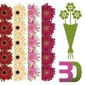 GERMINI/GERBERA PASTINI MIX X15