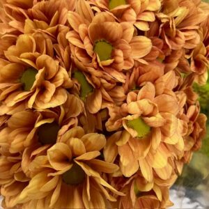 KRYSS KAYA ORANGE