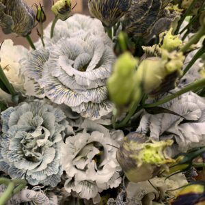 LISIANTHUS BOHEMIAN CHOCO BRUN