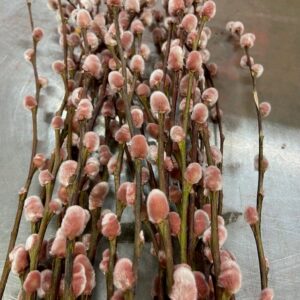 VIDEKVIST FÄRGAD VIP BORDEAUX