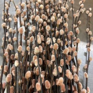 VIDEKVIST FÄRGAD VIP BROWN