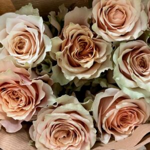 ROS CARAMEL MACHIATO UHURU 60CM