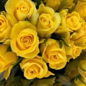 ROS MOONWALK GUL 50CM