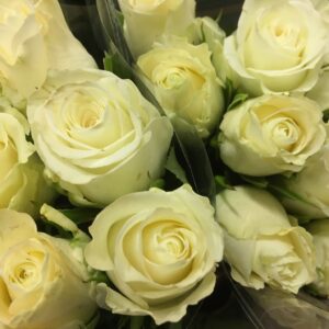 ROS 10-P ALP DE HEUZ VIT