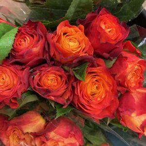 ROS 10-P ATOMIC ORANGE 40CM KE