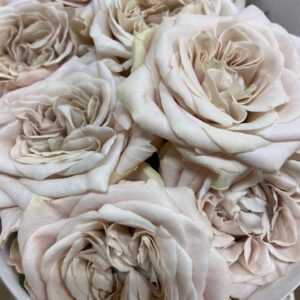 ROS WESTMINSTER ABBEY UHURU