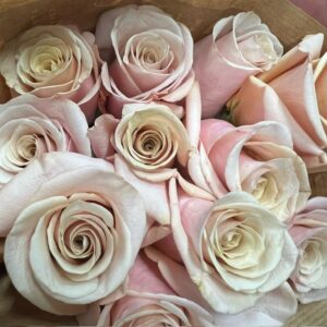 ROS MOTHER OF PEARL ROSA 60CM KE