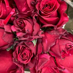 ROS RED PANTHER UHURU 60CM KE