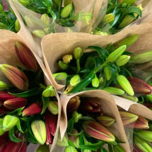 BUNT LILJA 3-P RÖDA X10