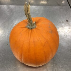 PUMPA STOR ORANGE