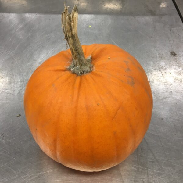 PUMPA STOR ORANGE
