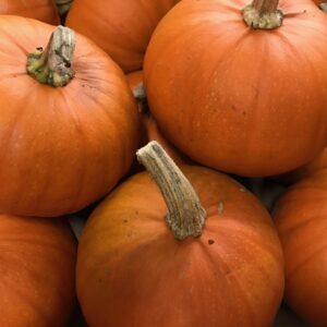 PUMPA BORDSPUMPA ORANGE x15