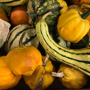 PUMPA MIXAT ÖLAND x25