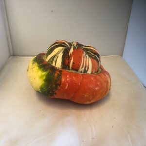 PUMPA TURKISK MÖSSA x6