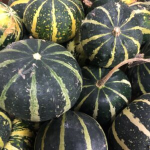 PUMPA PEPO DEKO MIX FÄRG x25