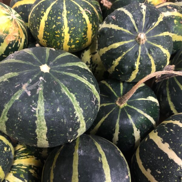 PUMPA PEPO DEKO MIX FÄRG x25
