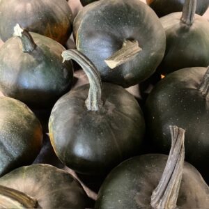 PUMPA GRÅ/GRÖN BORD X10