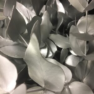 GRÖNT POPPEL FÄRGAD SILVER