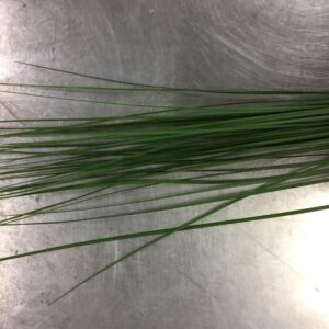 GRÖNT STEELGRASS NATURELL GRÖN