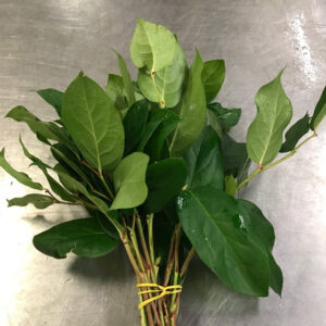 GRÖNT SALAL BABY