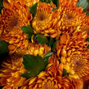 KRYSS BL BELLAVISTA STORBLOM ORANGE