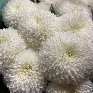 KRYSSBL STORBL SUPERBOWL VIT BOLL