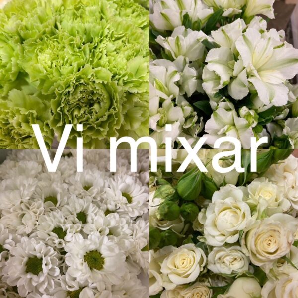 BINDERIBLOMMOR MIX VIT/LIME TONER