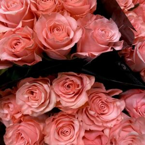 ROS BE SWEET ROSA 60CM KE