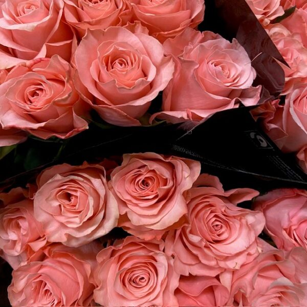 ROS BE SWEET ROSA 60CM KE