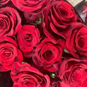 ROS 10-P MONZA RÖD 40 CM