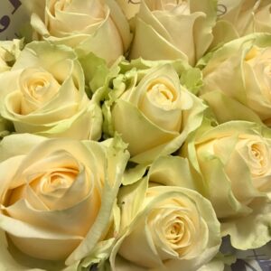 ROS FOUR SEASONS CREME