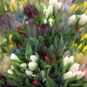 TULPAN 10-P BLANDLÅDA ODL.ALV SV x24