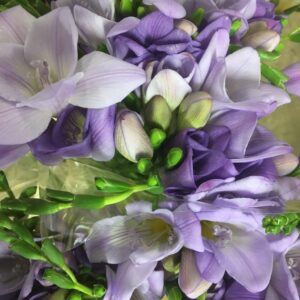 FREESIA LJUSBLÅ