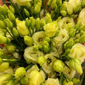 LISIANTHUS DUBBEL CREME