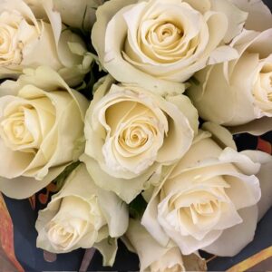 ROS ALBATROSS VIT UHURU 60CM