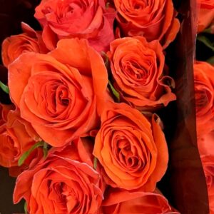ROS 10-P ORANGE ONLY 40CM