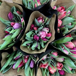 TULPAN 10-P MIX I BUNT VALENTIN MÅLSTA SV x25