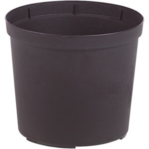 PLASTKRUKA PLANT 24CM x12