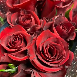 ROS EVER RED RÖD 50CM KE