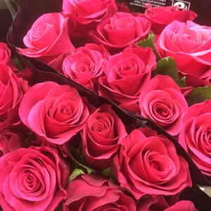 ROS TACAZZI CERISE 60CM