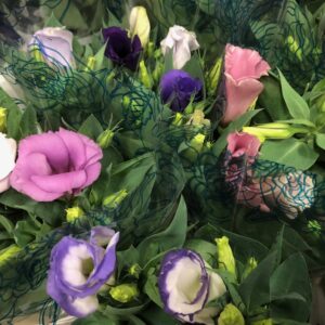 LISIANTHUS I KRUKA MIX x10