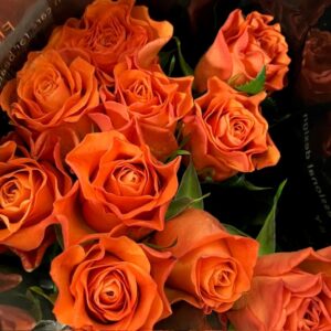 ROS 10-P ORANGE WAVE 40CM
