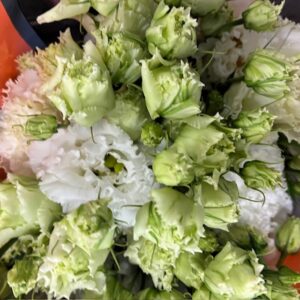 LISIANTHUS CELEBRICH DUBBEL VIT KRUSIG