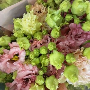 LISIANTHUS CORELLI DUBBEL CORELLI