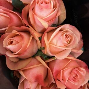 ROS 10-P EMOTION ROSA 40CM KE