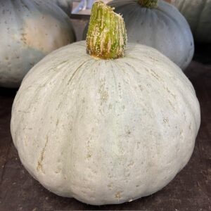 PUMPA CROWN PRINCESS
