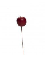 EN 79979-165 ÄPPLE RÖD 2,5CM x36