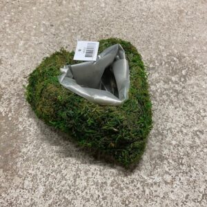 AL 18052 MOSSHJÄRTA PLANT 15CM x20